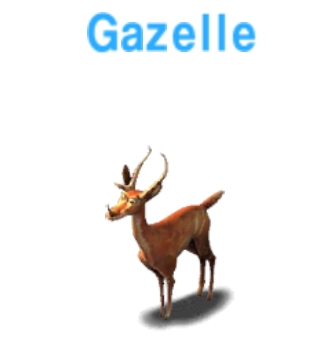 Gazelle           